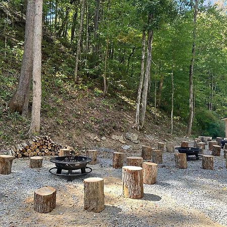 Cozy Cove Retreat W Lake View Hot Tub Firepit Dandridge Exteriér fotografie