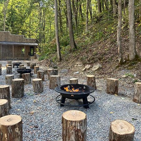 Cozy Cove Retreat W Lake View Hot Tub Firepit Dandridge Exteriér fotografie